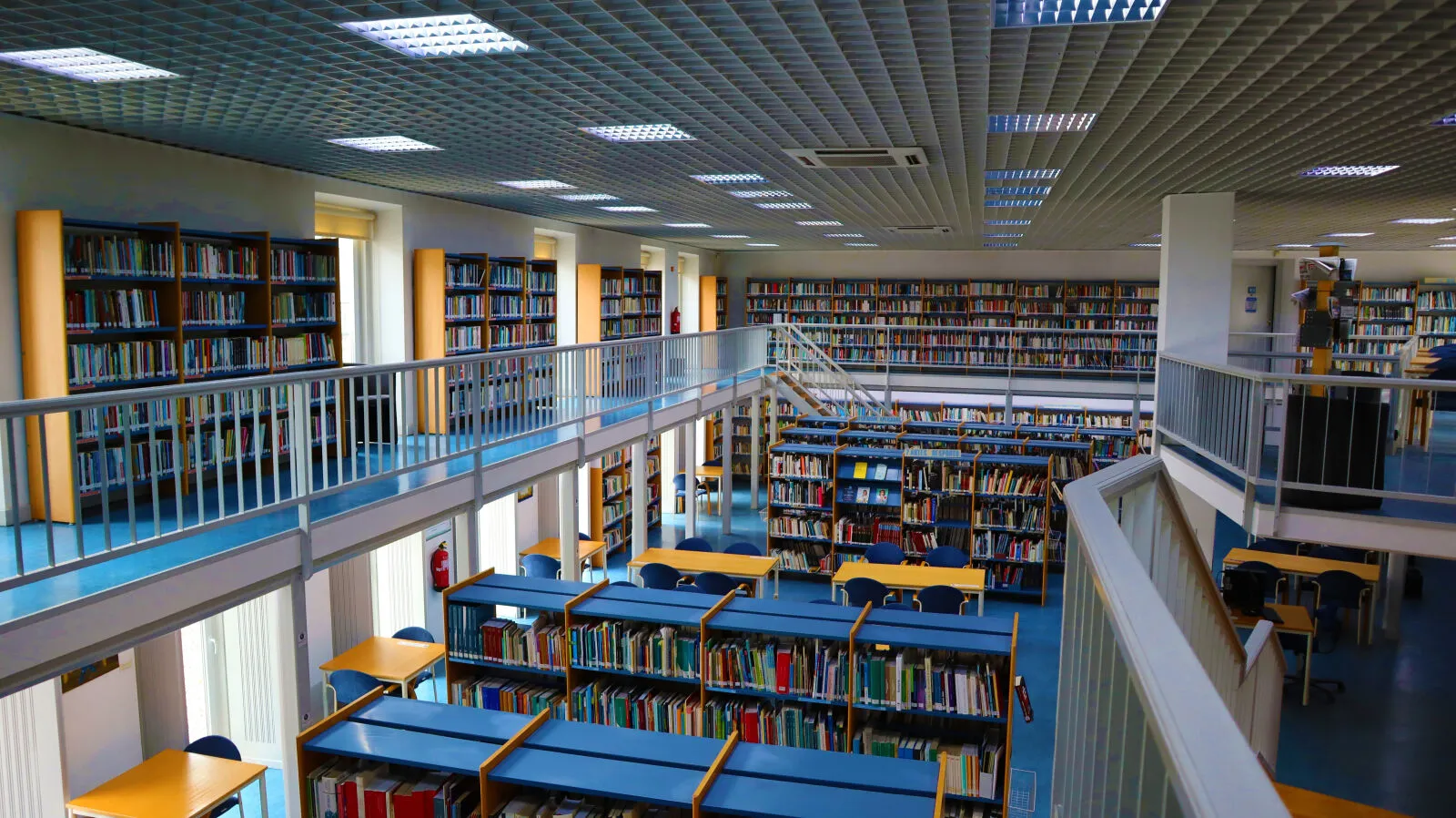 Biblioteca Municipal Afonso Lopes Vieira