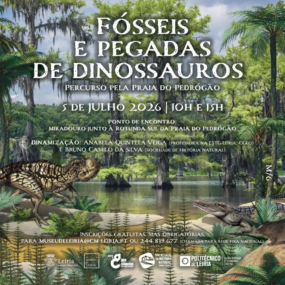 Fósseis e pegadas de dinossauros – percurso pela Praia do Pedrógão